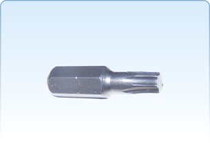 Schrewdriver bits TORX in bulk (25 mm a 50 mm)